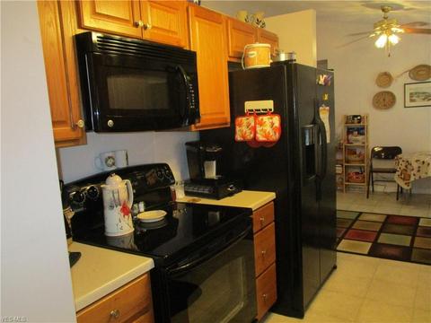 106 Pike Ct, Lagrange, OH 44050 photo 6