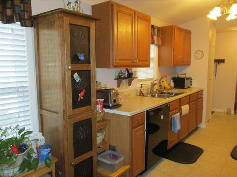 106 Pike Ct, Lagrange, OH 44050 photo 7