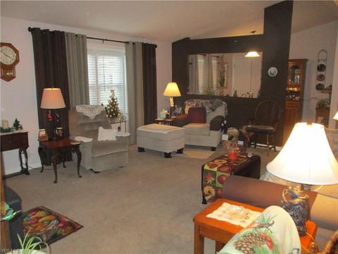 106 Pike Ct, Lagrange, OH 44050 photo 4