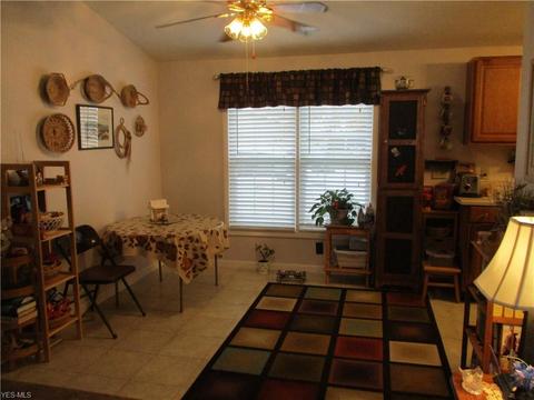 106 Pike Ct, Lagrange, OH 44050 photo 8