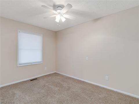 7965 Beach Rd, Wadsworth, OH 44281 photo 28
