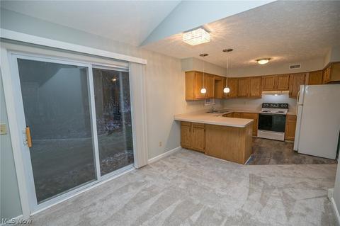 4190 Pine Dr, Rootstown, OH 44272 photo 8