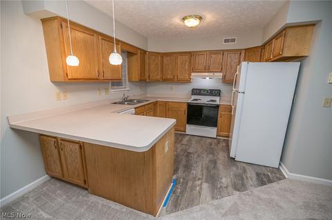 4190 Pine Dr, Rootstown, OH 44272 photo 9