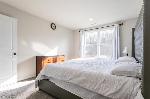 8590 Baker Ave, Mentor, OH 44060 photo 23
