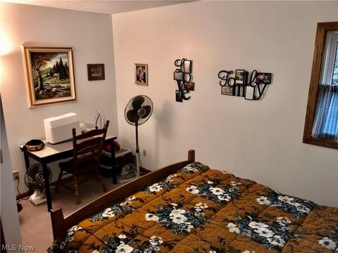39610 Whitney Rd, Lagrange, OH 44050 photo 16