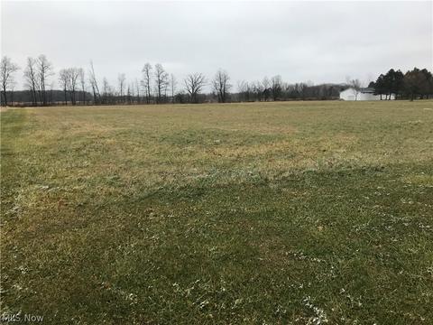 39610 Whitney Rd, Lagrange, OH 44050 photo 31