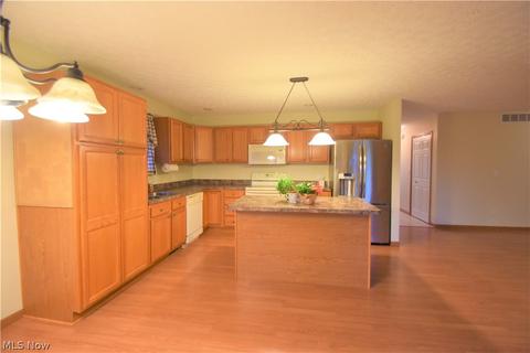 751 Timber Wolf Ln, Lagrange, OH 44050 photo 3