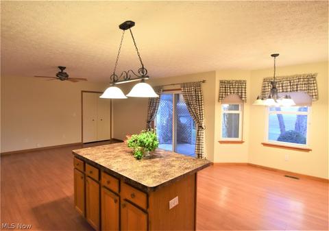 751 Timber Wolf Ln, Lagrange, OH 44050 photo 5