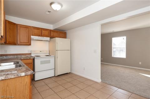 577 Thayer St, Akron, OH 44310 photo 13