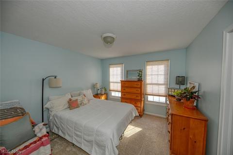 205 Chadwick Dr, Aurora, OH 44202 photo 26