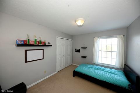 205 Chadwick Dr, Aurora, OH 44202 photo 24
