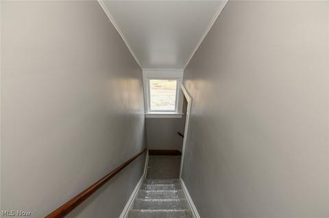 298 Julien Ave, Akron, OH 44310 photo 23