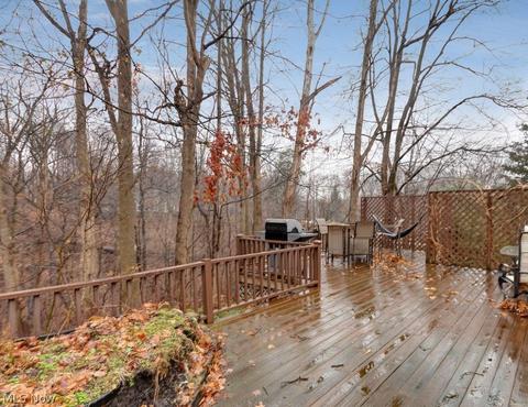 35800 Maplegrove Rd, Willoughby Hills, OH 44094 photo 35