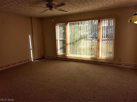 1211 Westminister Ave, Saybrook, OH 44004 photo 5