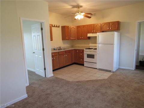 3341 Ridgewood Ave, Ashtabula, OH 44004 photo 20