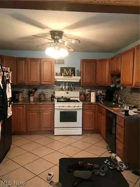 9839 E Center St, Windham, OH 44288 photo 4