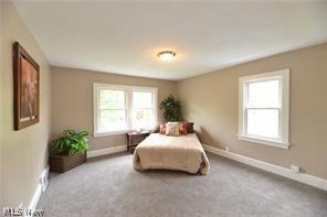 141 E 208th St, Euclid, OH 44123 photo 19