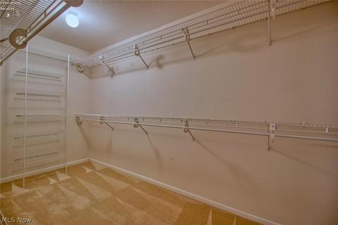 2005 E Waterberry Dr, Huron, OH 44839 photo 18