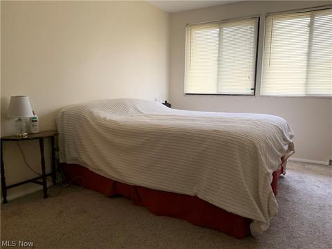 926 Hampton Ridge Dr, Akron, OH 44313 photo 10