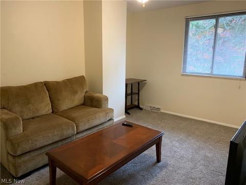 926 Hampton Ridge Dr, Akron, OH 44313 photo 11