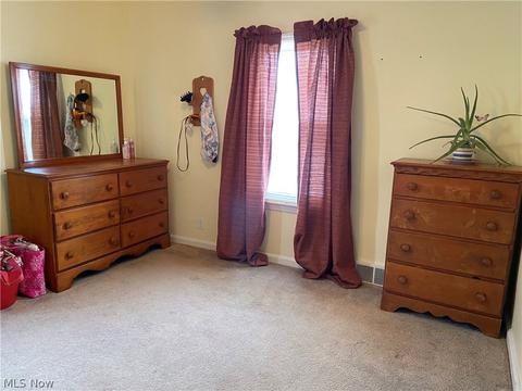 715 Lyndon Ave, Ashtabula, OH 44004 photo 12