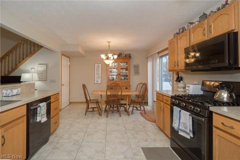 1221 Stonebridge Dr, Willoughby, OH 44094 photo 12