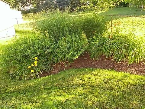 5254 Milo Ave, Maple Heights, OH 44137 photo 9