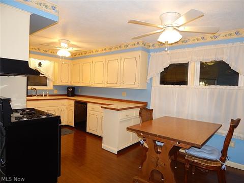 5254 Milo Ave, Maple Heights, OH 44137 photo 10