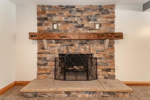 14641 Trask Rd, Thompson, OH 44086 photo 23