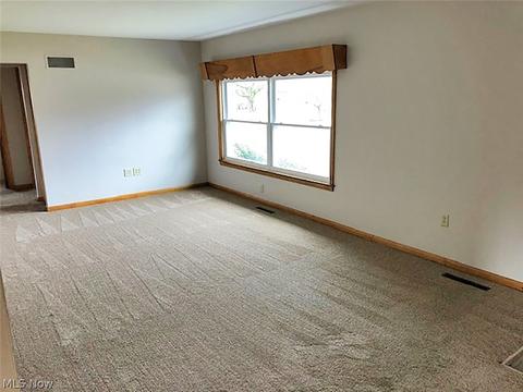 925 E 1st St, Minerva, OH 44657 photo 4