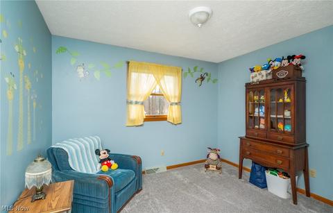 17953 W South Range Rd, Beloit, OH 44609 photo 16