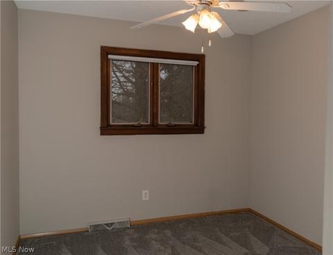 13851 Diagonal Rd, Lagrange, OH 44050 photo 12