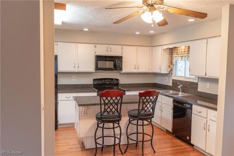 13851 Diagonal Rd, Lagrange, OH 44050 photo 4