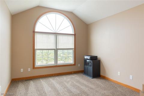 318 Granger Dr, Lagrange, OH 44050 photo 27