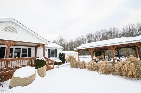 3146 Pinney Topper Rd, Ashtabula, OH 44004 photo 2