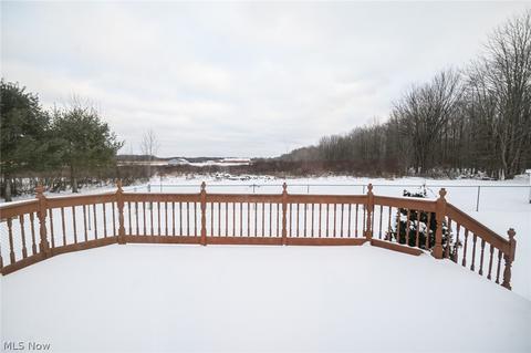 3146 Pinney Topper Rd, Ashtabula, OH 44004 photo 27