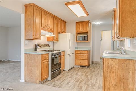 30113 Robert St, Wickliffe, OH 44092 photo 9