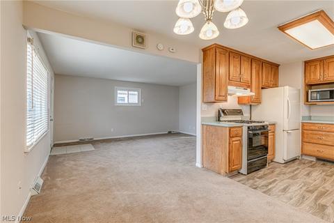 30113 Robert St, Wickliffe, OH 44092 photo 8