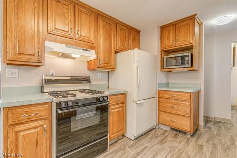 30113 Robert St, Wickliffe, OH 44092 photo 10
