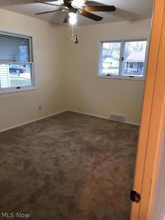  13613 Leroy Ave, Cleveland, OH 44135 photo 3