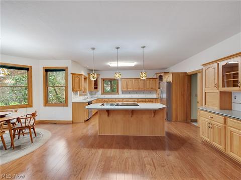 179 E Comet Rd, Clinton, OH 44216 photo 17
