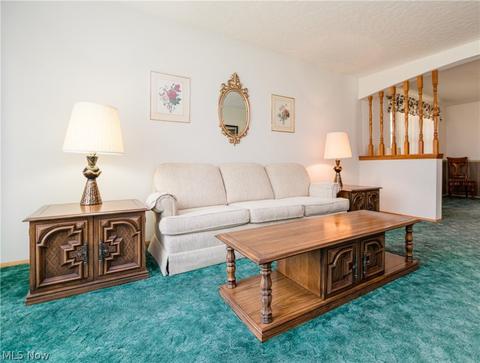 605 Georgetown Ave, Elyria, OH 44035 photo 12
