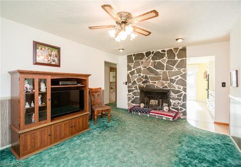 605 Georgetown Ave, Elyria, OH 44035 photo 14