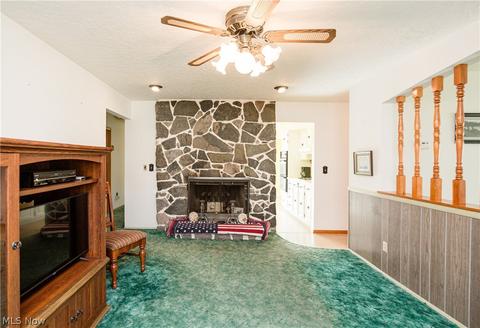 605 Georgetown Ave, Elyria, OH 44035 photo 13