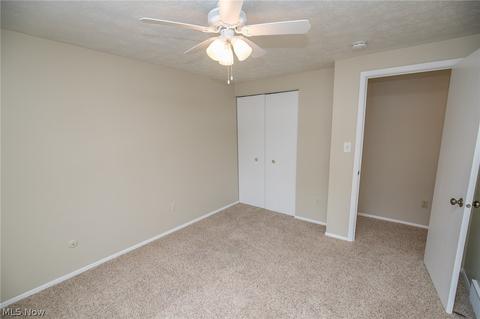 935 Independence Ave, Akron, OH 44310 photo 18