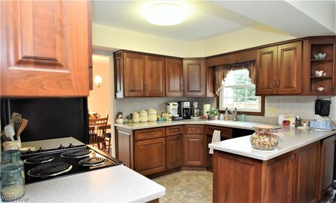 171 Buckingham Dr, Elyria, OH 44035 photo 9