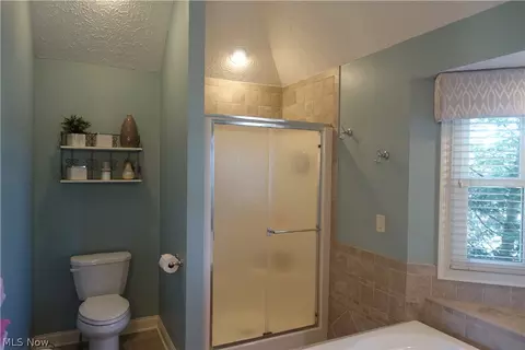 42270 Biggs Rd, Lagrange, OH 44050 photo 22