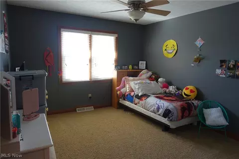 42270 Biggs Rd, Lagrange, OH 44050 photo 29