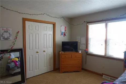 42270 Biggs Rd, Lagrange, OH 44050 photo 27