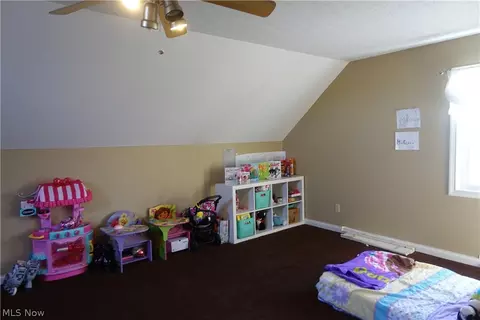 42270 Biggs Rd, Lagrange, OH 44050 photo 25